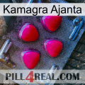 Kamagra Ajanta 13